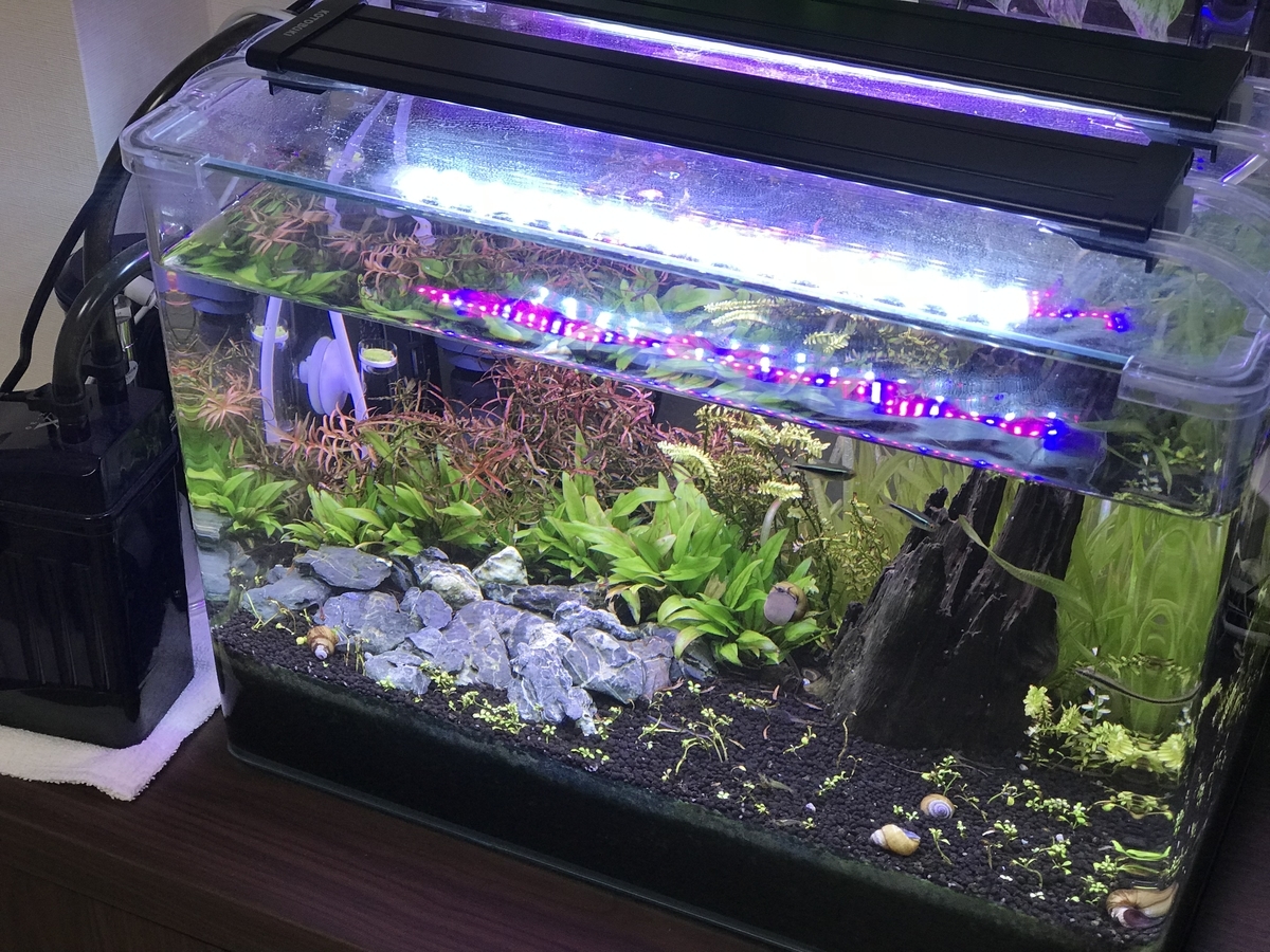 f:id:Nagoya1976:20190616160400j:plain f:id:Nagoya1976:20190616160400j:plain