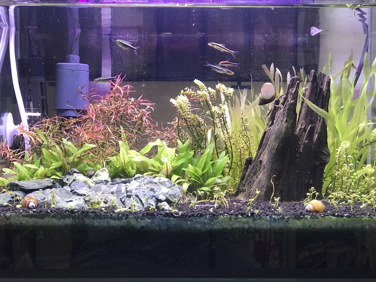 f:id:Nagoya1976:20190616163244j:plain f:id:Nagoya1976:20190616163244j:plain