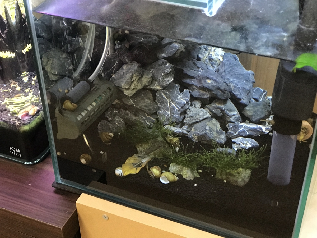 f:id:Nagoya1976:20190616165226j:plain f:id:Nagoya1976:20190616165226j:plain