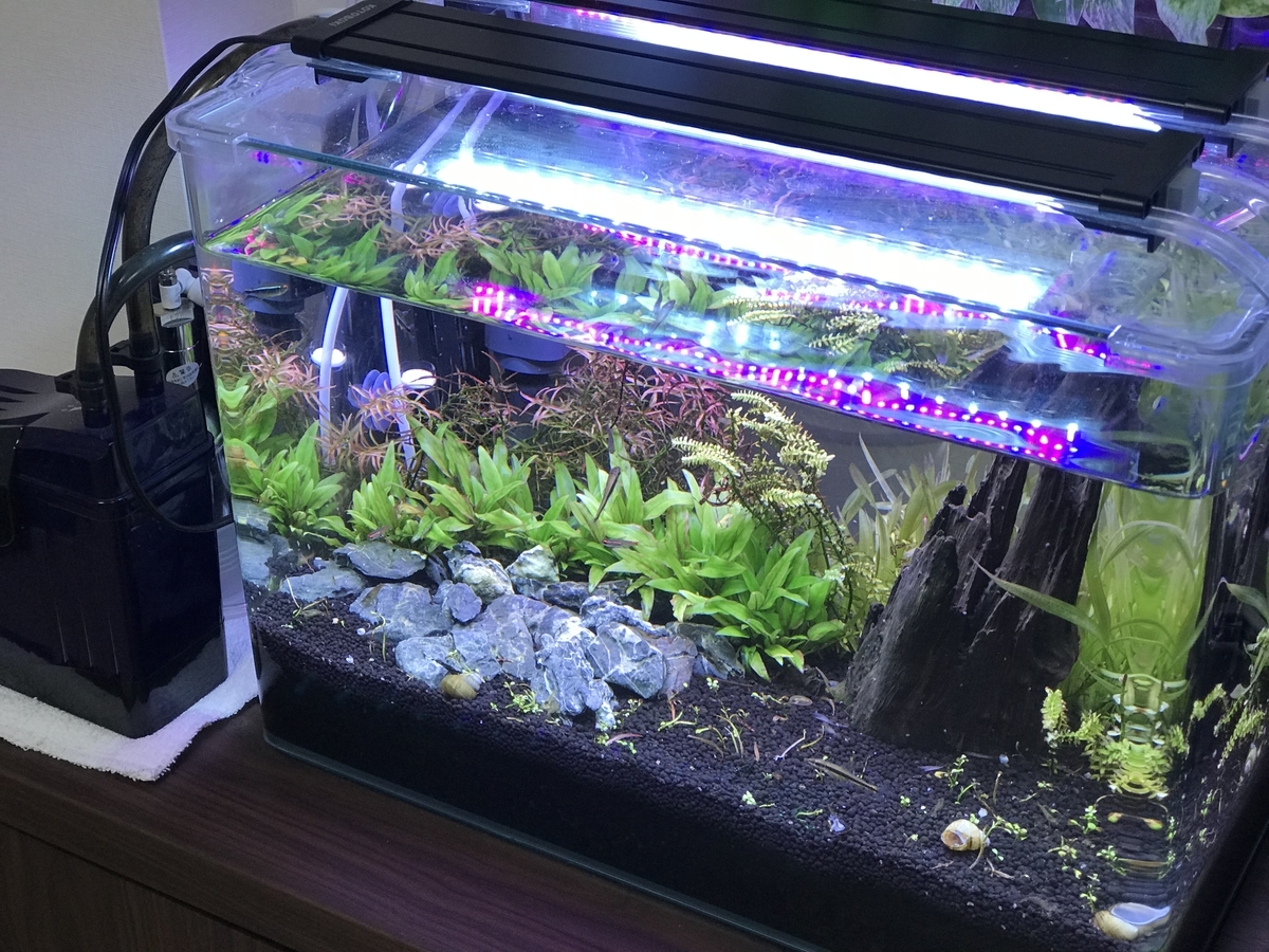 f:id:Nagoya1976:20190715160910j:plain