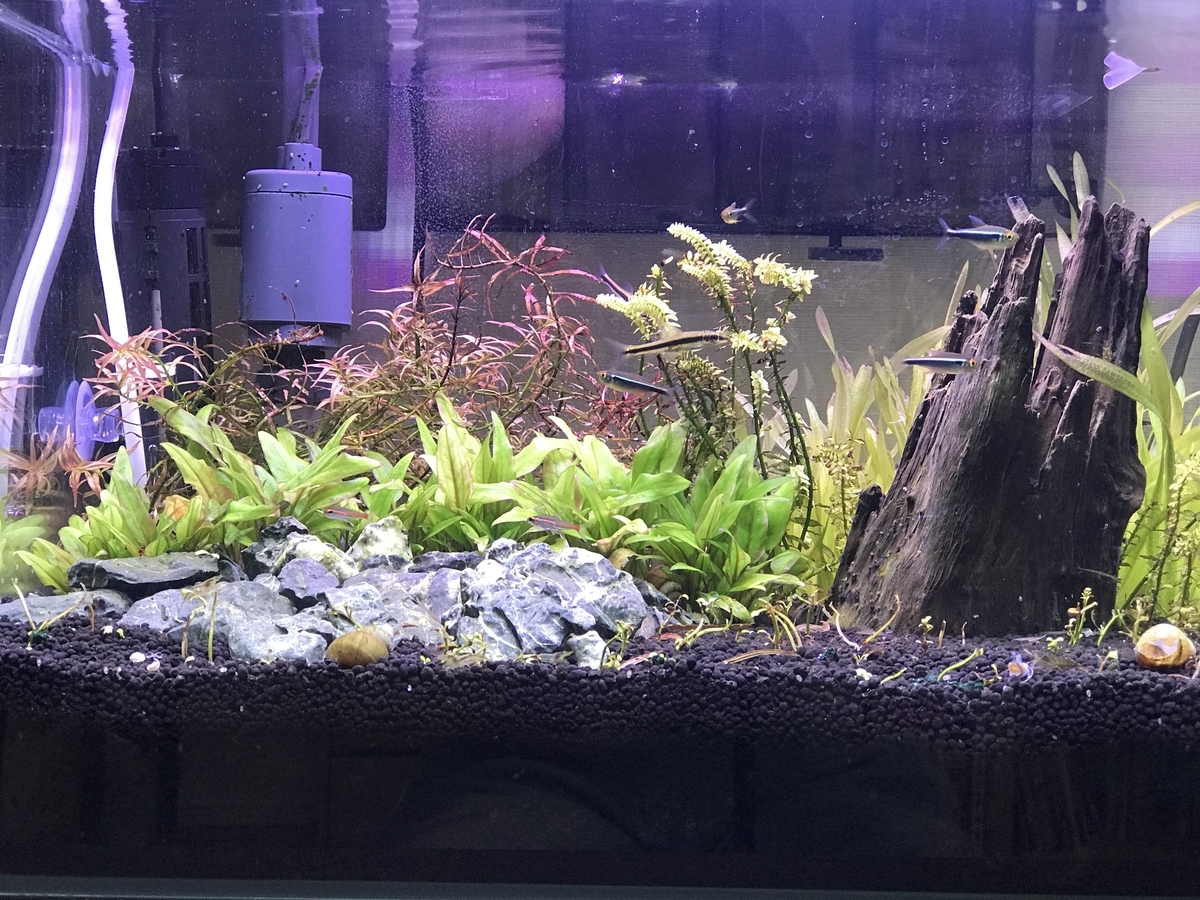 f:id:Nagoya1976:20190715163232j:plain