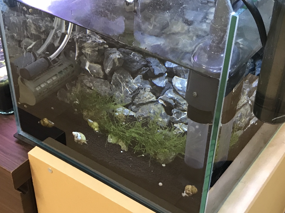 f:id:Nagoya1976:20190715165755j:plain