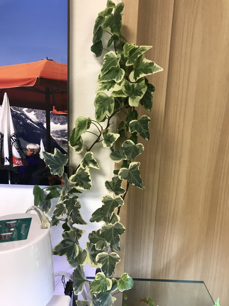 f:id:Nagoya1976:20190715170254j:plain