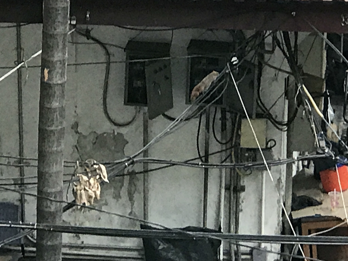 f:id:Nagoya1976:20190901191141j:plain f:id:Nagoya1976:20190901191141j:plain