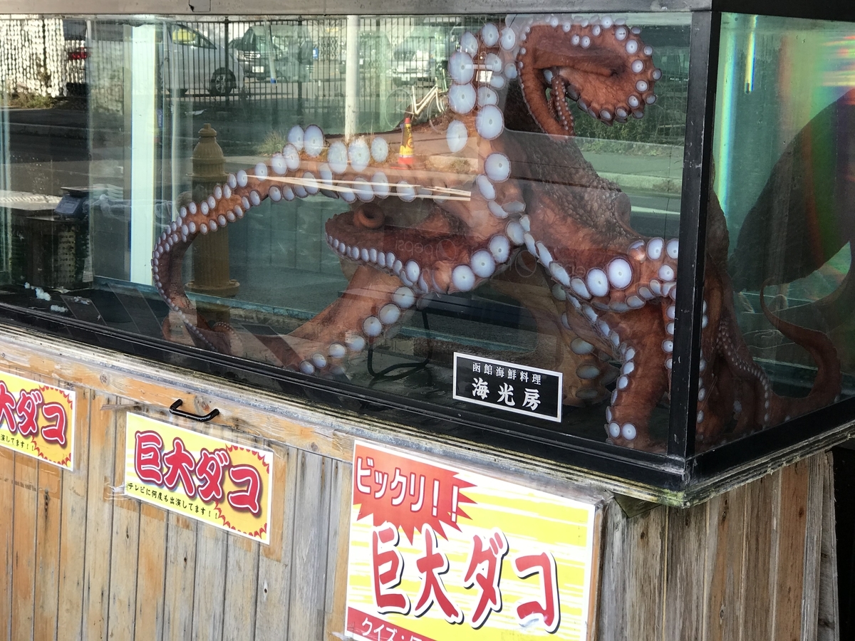 f:id:Nagoya1976:20191208155234j:plain f:id:Nagoya1976:20191208155234j:plain