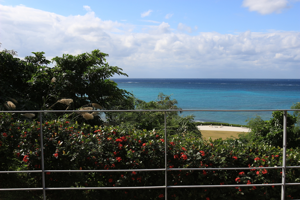 f:id:Nagoya1976:20200131091821j:plain