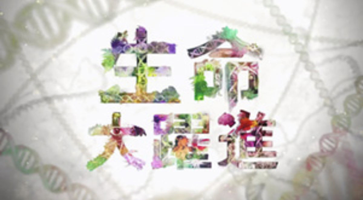 f:id:Nagoya1976:20200516215550p:plain