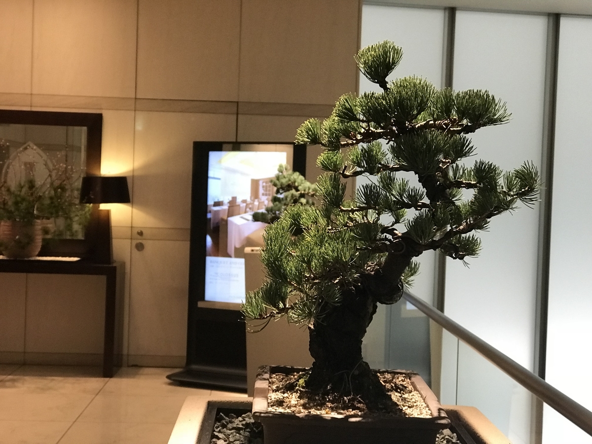 f:id:Nagoya1976:20200726162500j:plain