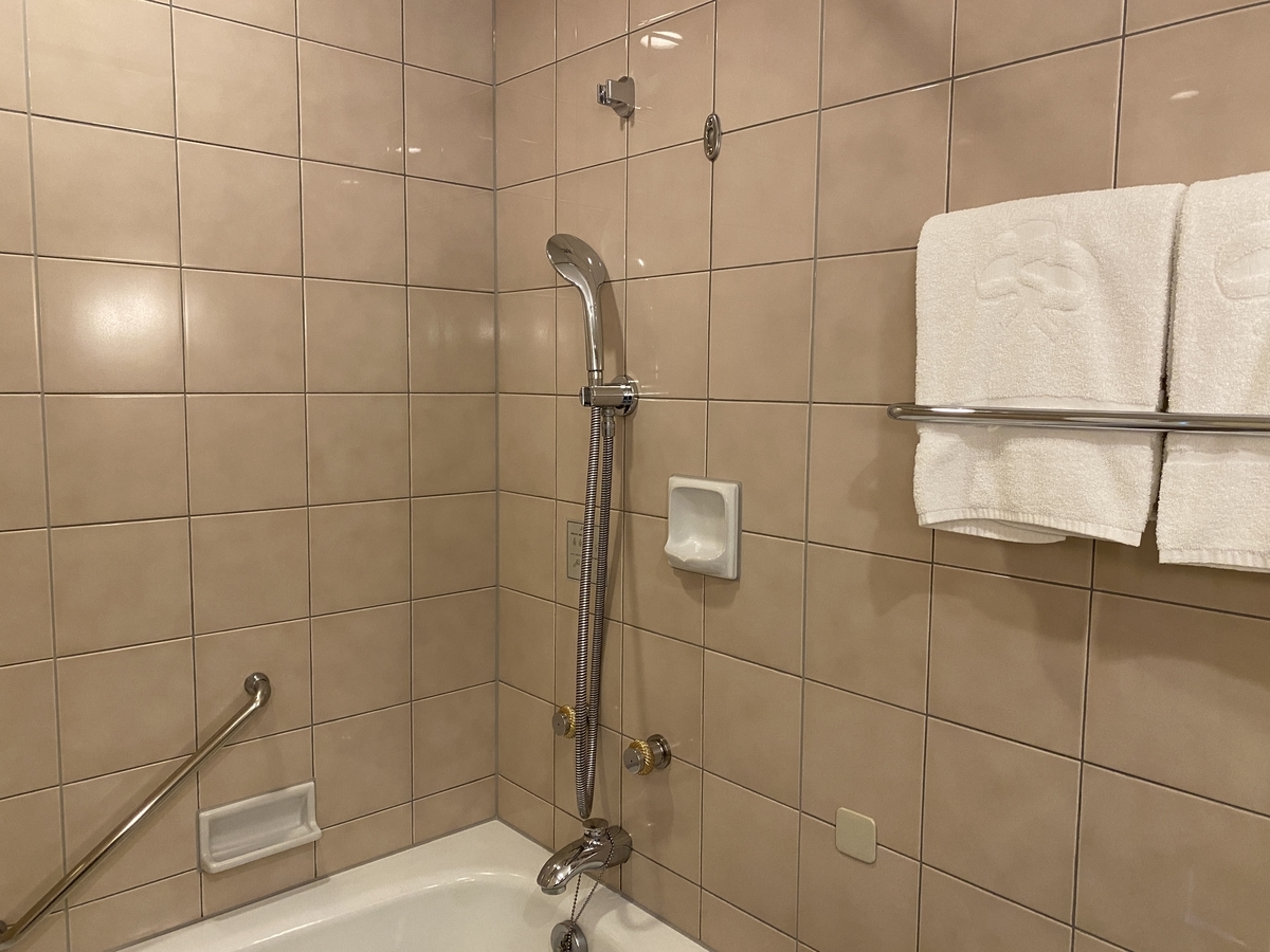 f:id:Nagoya1976:20210908132455j:plain