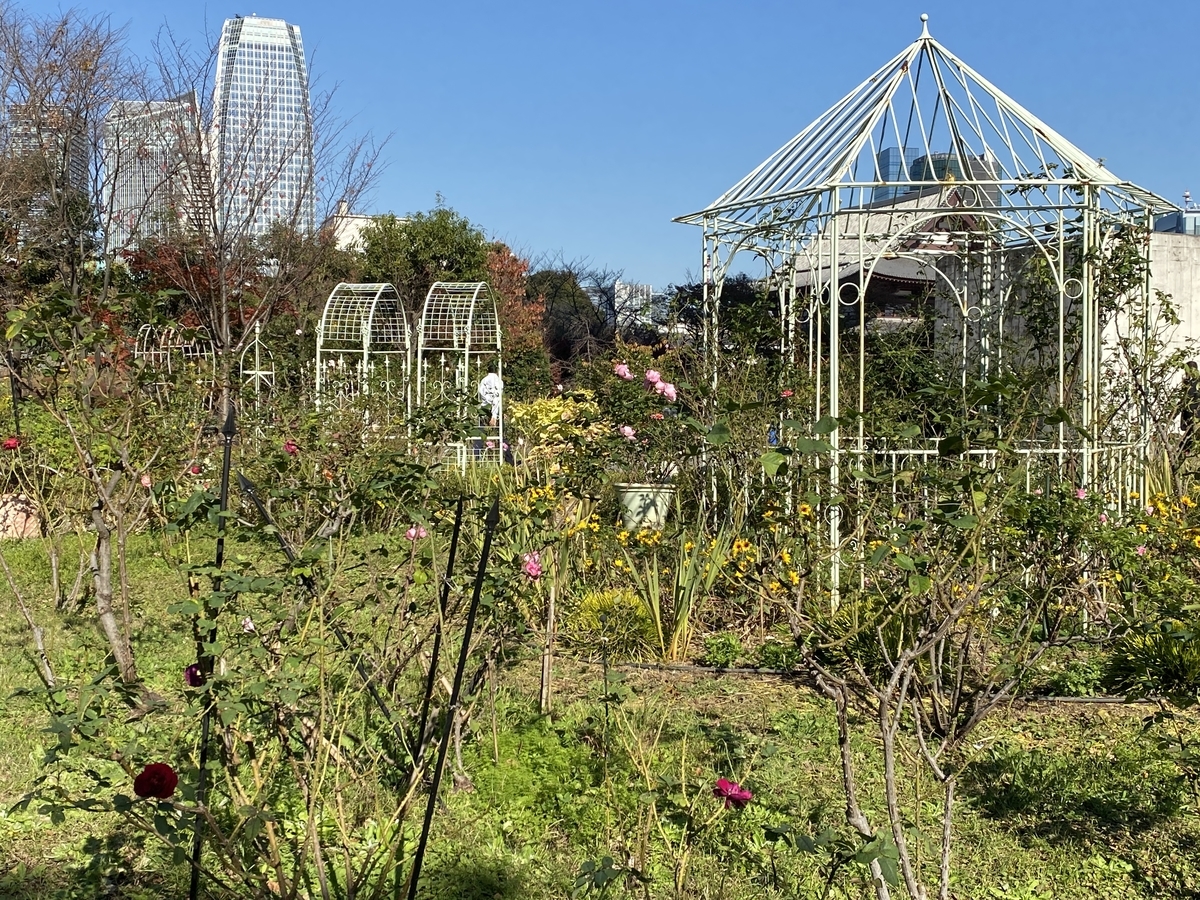 f:id:Nagoya1976:20211211111008j:plain