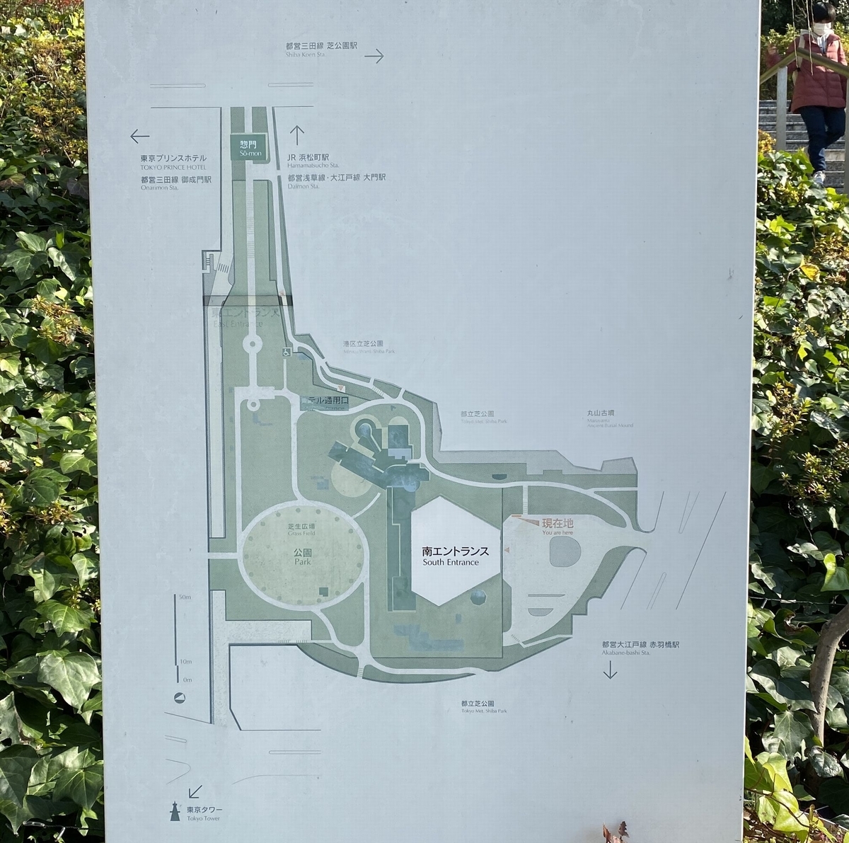 f:id:Nagoya1976:20211212092959j:plain