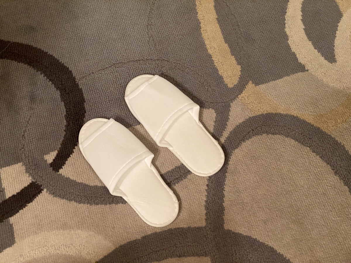 f:id:Nagoya1976:20220121233102j:plain