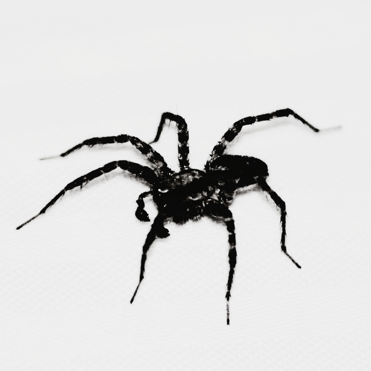 f:id:NahitoTracks:20210802063903j:plain