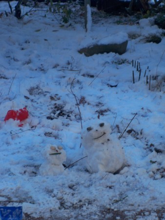 f:id:Nahoho:20110111105125j:image f:id:Nahoho:20110111105125j:image