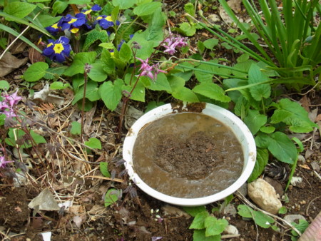 f:id:Nahoho:20110506231619j:image f:id:Nahoho:20110506231619j:image