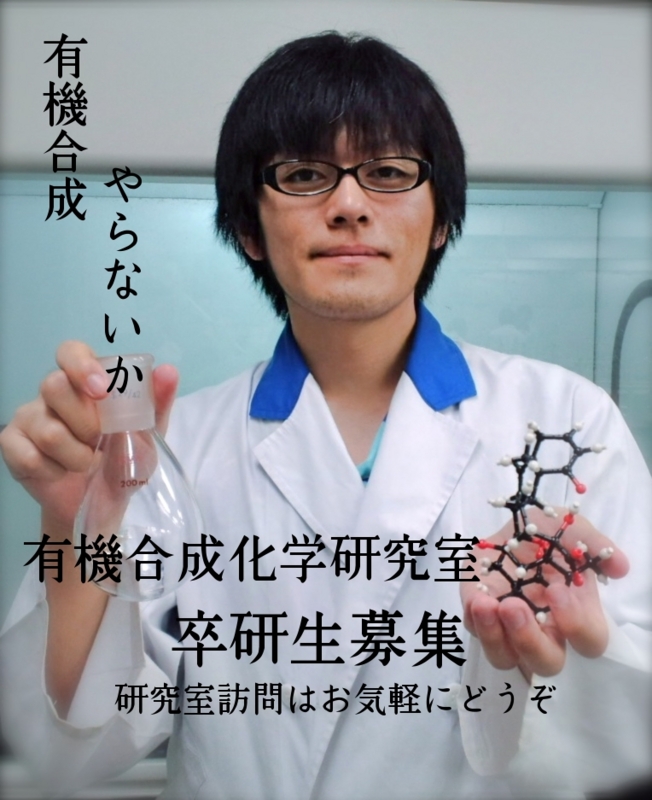 f:id:Nakadai_Lab:20100624052921j:image:h300
