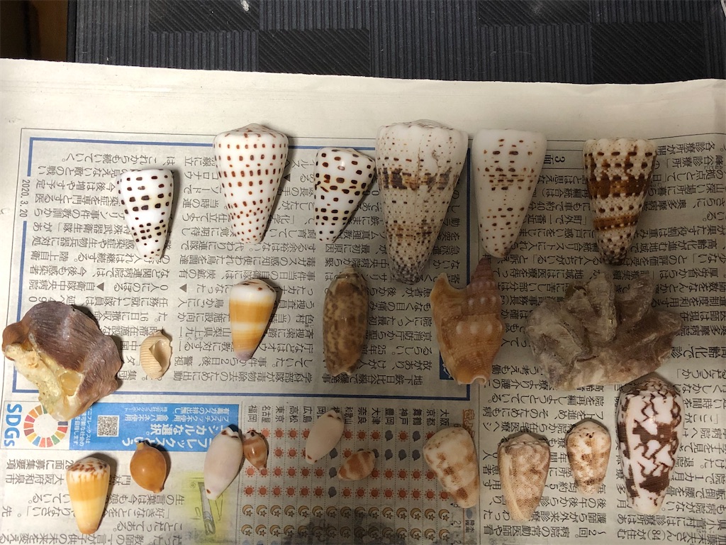 f:id:Nakakichi_shell:20200324223645j:image