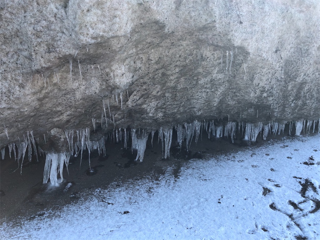 f:id:Nakakichi_shell:20200327094333j:image