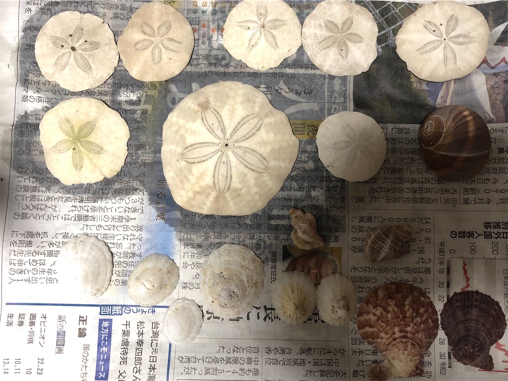 f:id:Nakakichi_shell:20200328111738j:image
