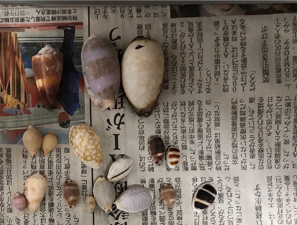 f:id:Nakakichi_shell:20200915223129j:image