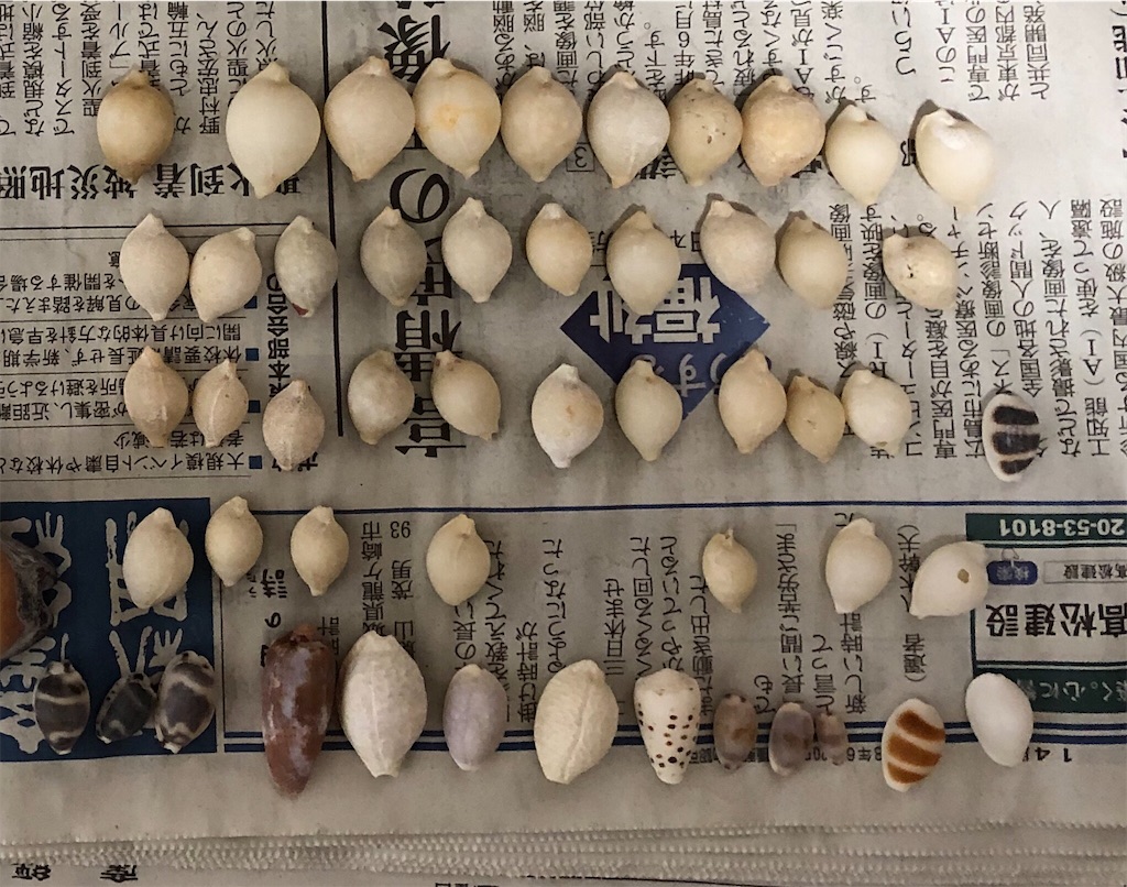 f:id:Nakakichi_shell:20200915223133j:image