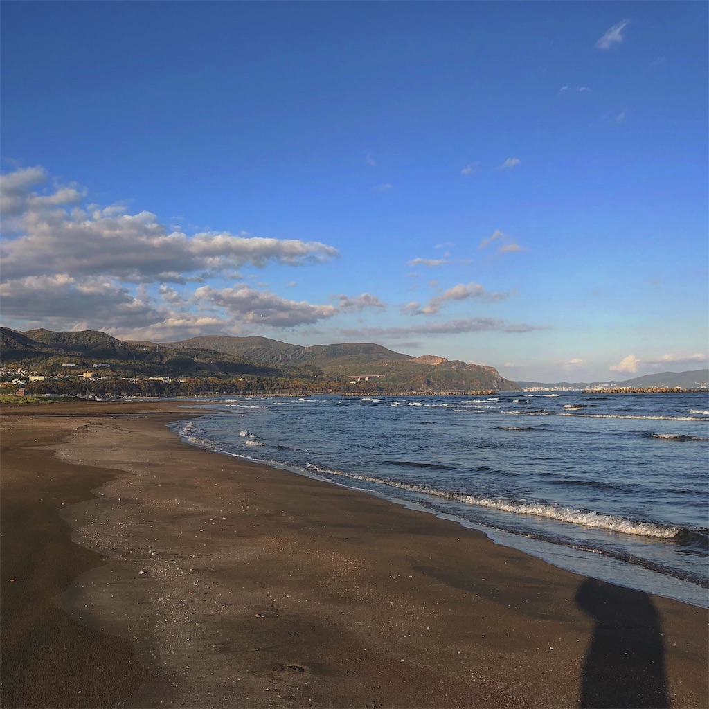 f:id:Nakakichi_shell:20210212012329j:image
