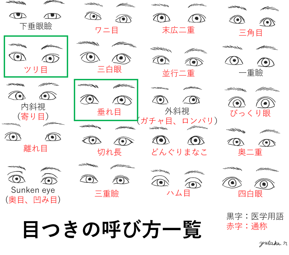 自分の目つきはなんと言えばよいのだろう ツリ目と垂れ目 美容 形成外科医 中村優のブログ