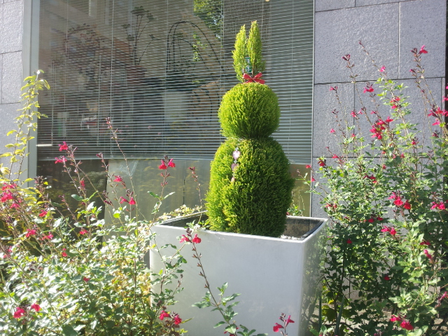 f:id:Nakamuu:20121123212346j:plain