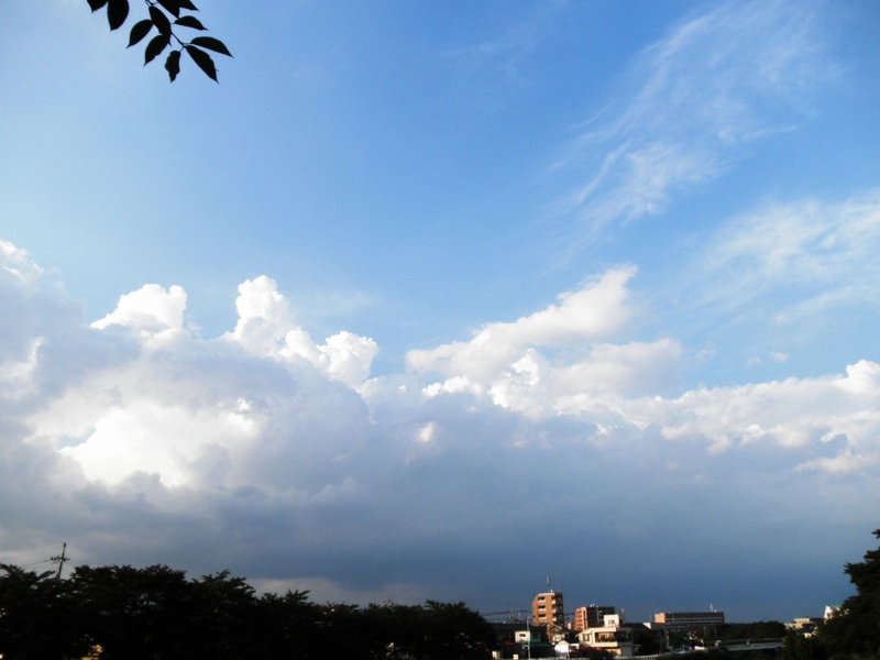 2011/07/05/青空１