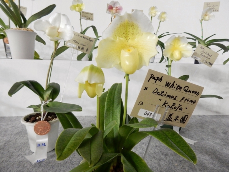 f:id:Nakano_Hitsuji:20180219152655j:plain