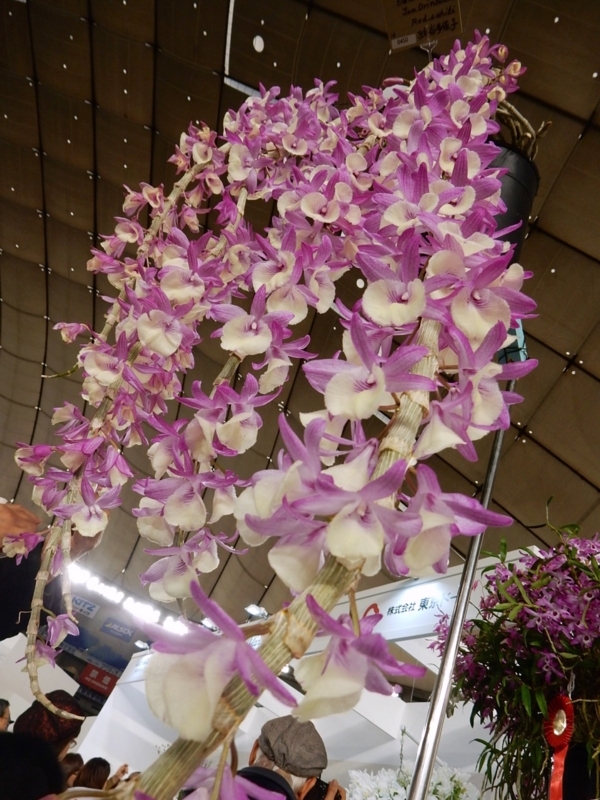 f:id:Nakano_Hitsuji:20180219153248j:plain