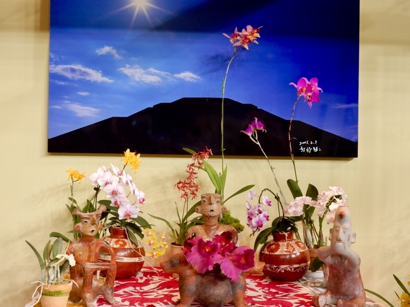 f:id:Nakano_Hitsuji:20180219171709j:plain