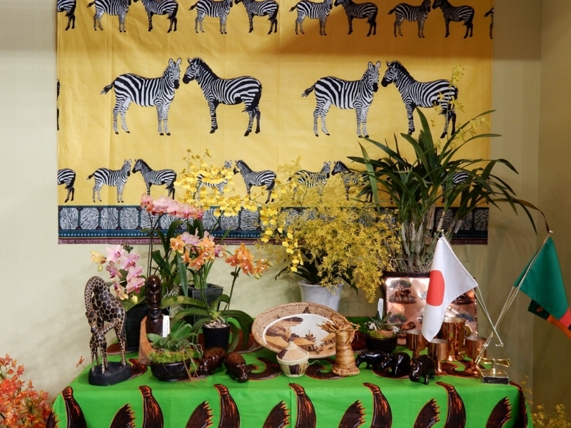 f:id:Nakano_Hitsuji:20180219171807j:plain