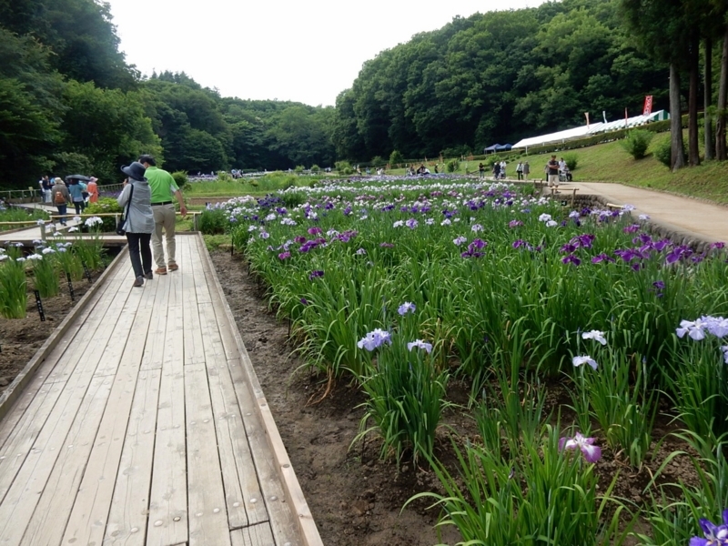 f:id:Nakano_Hitsuji:20180608145728j:plain