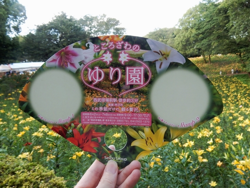 ところざわのゆり園に行ってきました 週末花探し