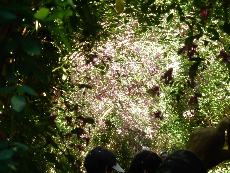 f:id:Nakano_Hitsuji:20180928134556j:plain f:id:Nakano_Hitsuji:20180928134556j:plain