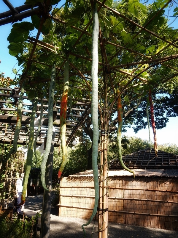 f:id:Nakano_Hitsuji:20180928141231j:plain f:id:Nakano_Hitsuji:20180928141231j:plain