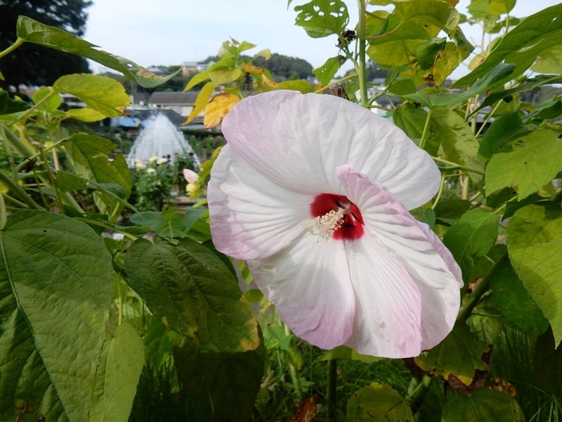 f:id:Nakano_Hitsuji:20181003145919j:plain