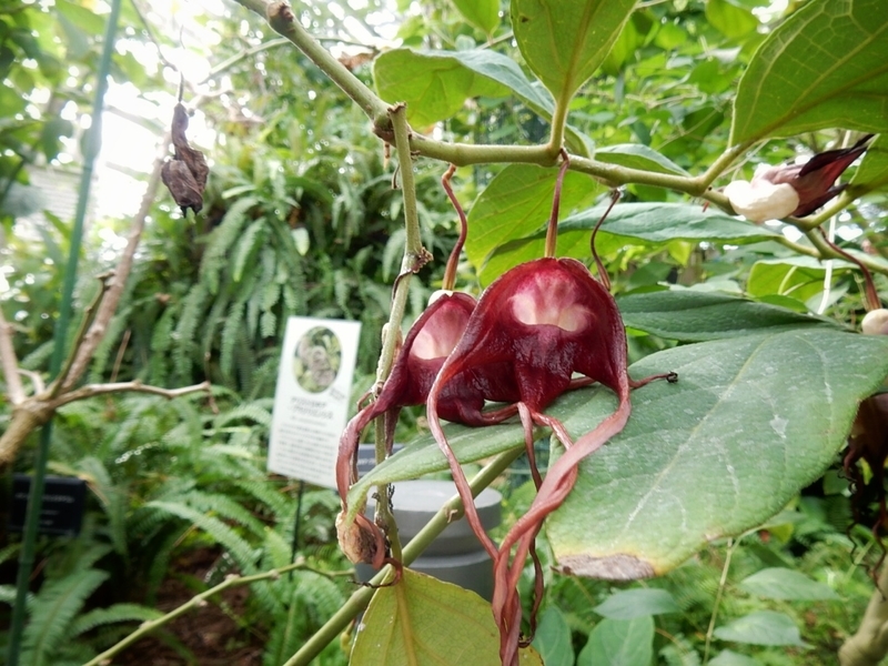 f:id:Nakano_Hitsuji:20181020124527j:plain