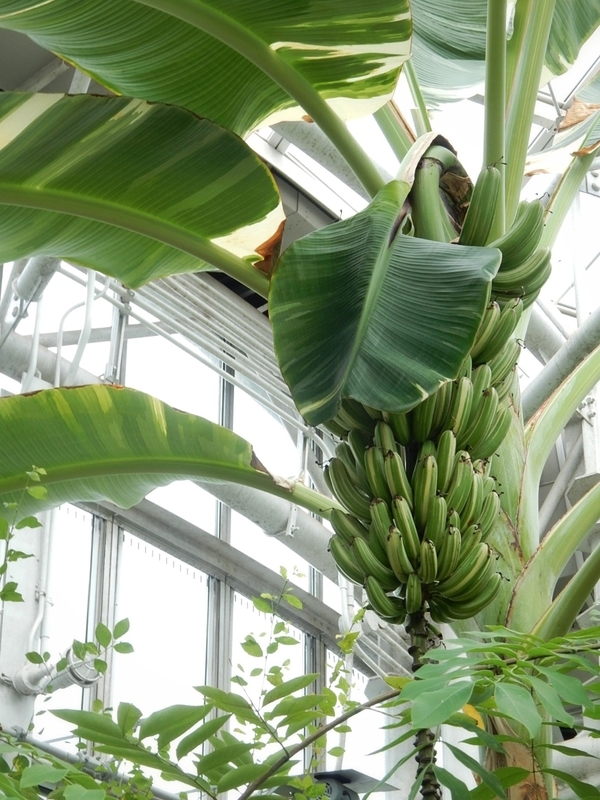 f:id:Nakano_Hitsuji:20181020124618j:plain