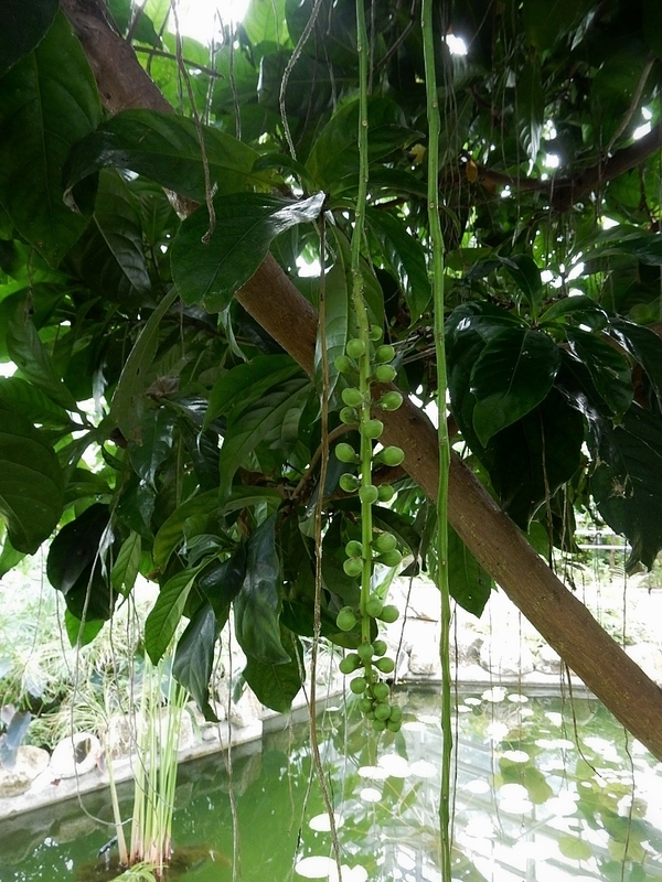 f:id:Nakano_Hitsuji:20181020124733j:plain