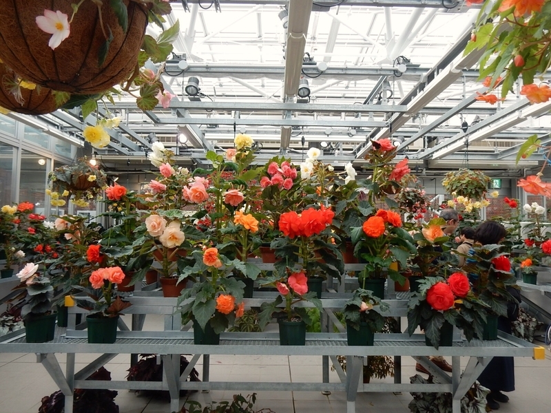 f:id:Nakano_Hitsuji:20181020125512j:plain