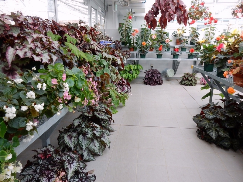 f:id:Nakano_Hitsuji:20181020125557j:plain