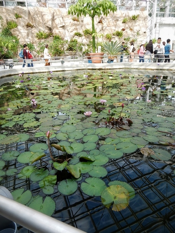 f:id:Nakano_Hitsuji:20181020125935j:plain