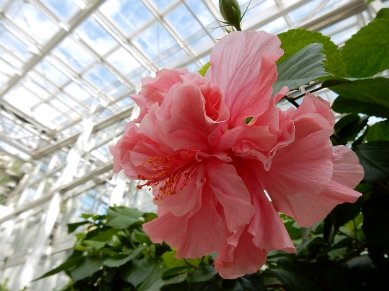 f:id:Nakano_Hitsuji:20181020130630j:plain