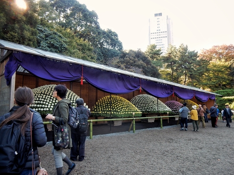 f:id:Nakano_Hitsuji:20181114131710j:plain f:id:Nakano_Hitsuji:20181114131710j:plain