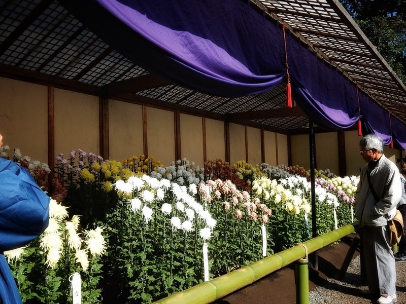 f:id:Nakano_Hitsuji:20181114132344j:plain f:id:Nakano_Hitsuji:20181114132344j:plain