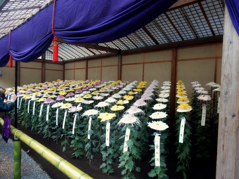 f:id:Nakano_Hitsuji:20181114132850j:plain f:id:Nakano_Hitsuji:20181114132850j:plain