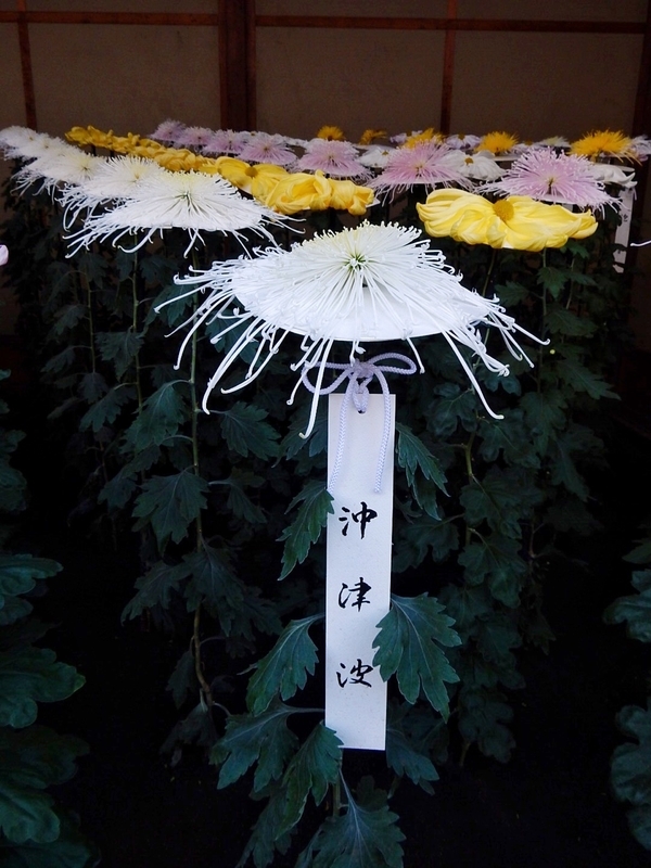 f:id:Nakano_Hitsuji:20181114132930j:plain f:id:Nakano_Hitsuji:20181114132930j:plain