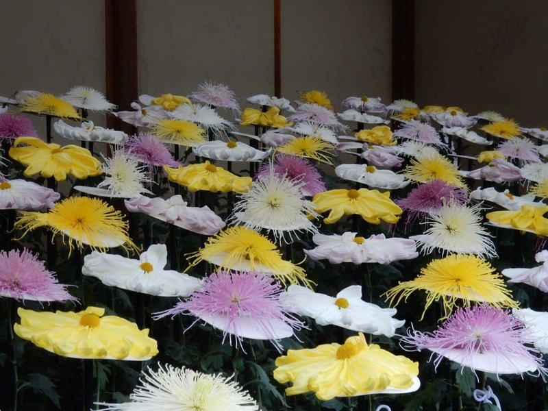 f:id:Nakano_Hitsuji:20181114133049j:plain f:id:Nakano_Hitsuji:20181114133049j:plain